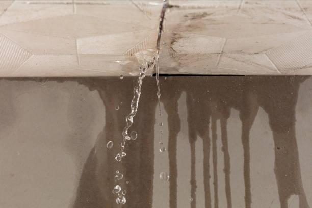 Professional Structural Drying technician working in Horatio, AR